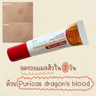 ภาพหน้าปกบทความ:title