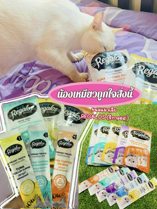 ภาพหน้าปกบทความ:title