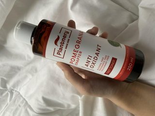 ภาพหน้าปกบทความ:title