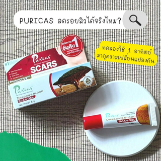 ภาพหน้าปกบทความ:title