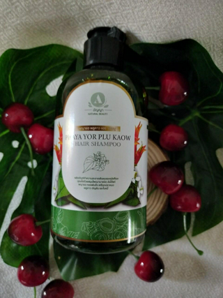 ภาพหน้าปกบทความ:title