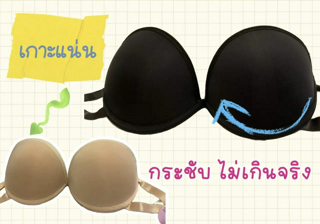 ภาพหน้าปกบทความ:title