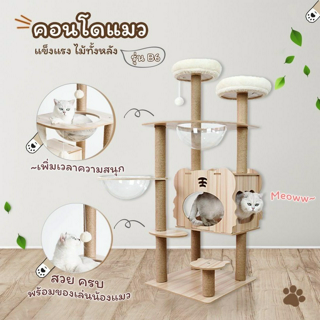 ภาพหน้าปกบทความ:title