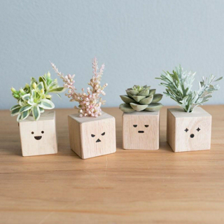 ภาพหน้าปกบทความ:title