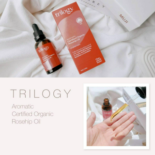 ภาพหน้าปกบทความ:title