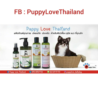 ภาพหน้าปกบทความ:title