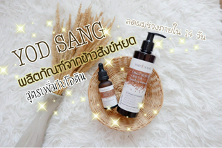 ภาพหน้าปกบทความ:title