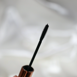 ภาพหน้าปกบทความ:title