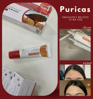 ภาพหน้าปกบทความ:title