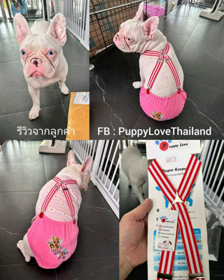 ภาพหน้าปกบทความ:title