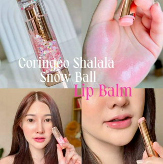 ภาพหน้าปกบทความ:title