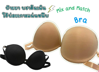 ภาพหน้าปกบทความ:title