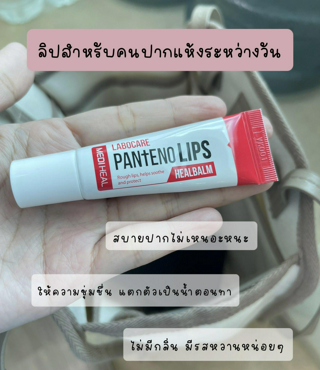 ภาพหน้าปกบทความ:title