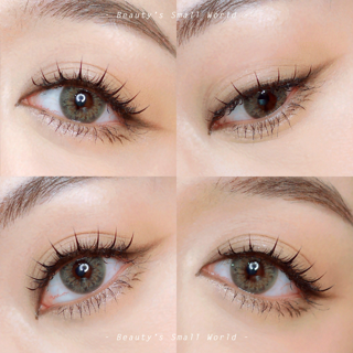 ภาพหน้าปกบทความ:title