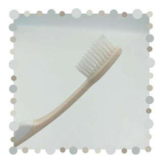 ภาพหน้าปกบทความ:title