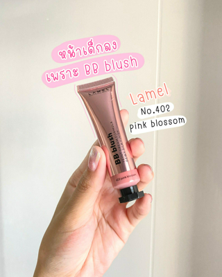 ภาพหน้าปกบทความ:title