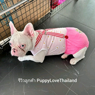 ภาพหน้าปกบทความ:title