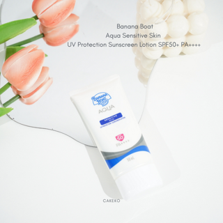 ภาพหน้าปกบทความ:title