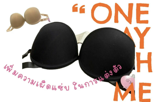 ภาพหน้าปกบทความ:title