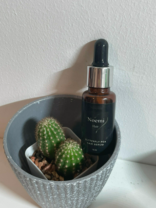 ภาพหน้าปกบทความ:title