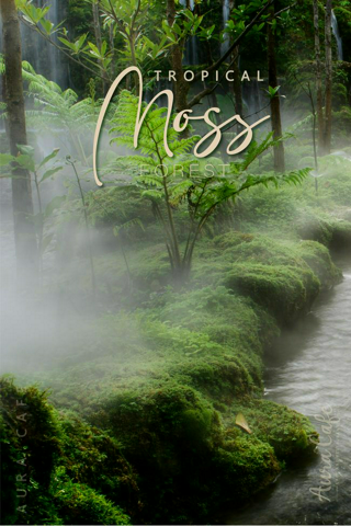 ภาพหน้าปกบทความ:title