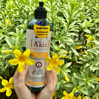 ภาพหน้าปกบทความ:title