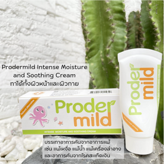 ภาพหน้าปกบทความ:title