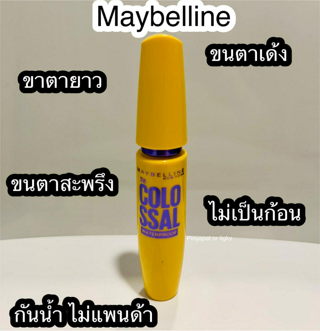 ภาพหน้าปกบทความ:title