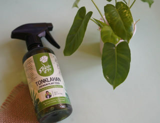 ภาพหน้าปกบทความ:title