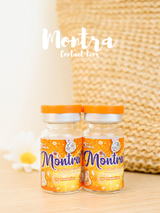 ภาพหน้าปกบทความ:title