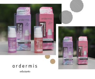 ภาพหน้าปกบทความ:title