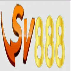 comment-user-pic