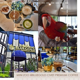 รูปภาพหน้าปกบทความ:เที่ยว Minizoo ย่านเลียบด่วน ณ Bluegold Civet Premium Coffee ไปกับเที่ยวเกิ๊น😉